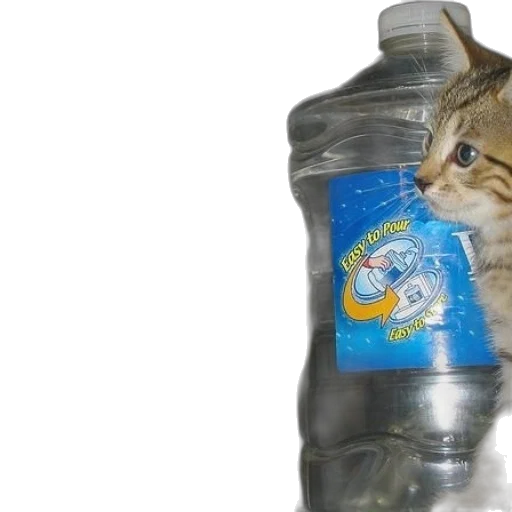bottle, animal, creature, man transparent PNG cut-out