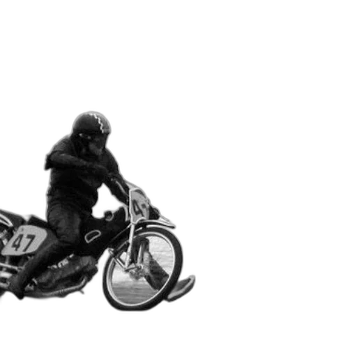 jacket, animal, creature, weapon transparent PNG cut-out