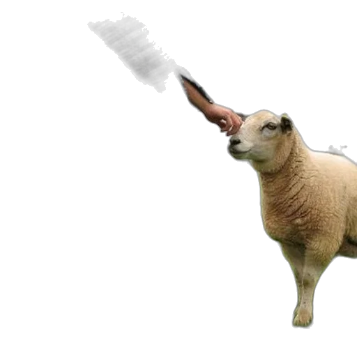 animal, weapon, staff, sword transparent PNG cut-out