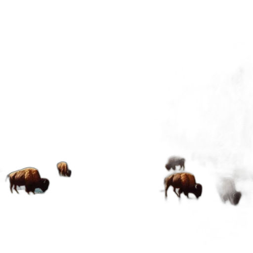 animal, creature, hair, furniture transparent PNG cut-out
