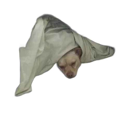 mask, creature, hat, face transparent PNG cut-out