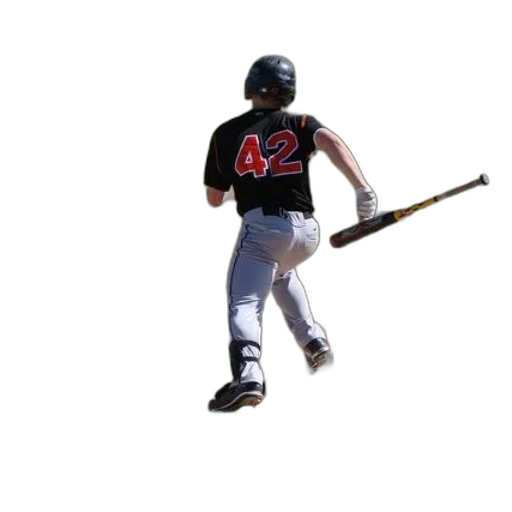 animal, weapon, creature, baseball transparent PNG cut-out