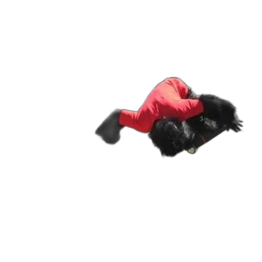 hair, shoes, animal, staff transparent PNG cut-out