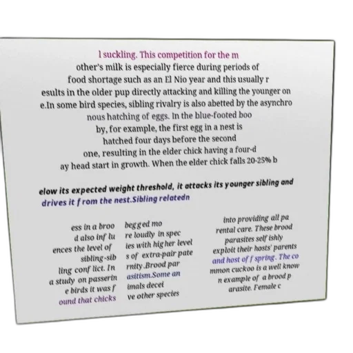 food, text-based, image, discussing transparent PNG cut-out