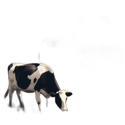 animal, food, creature, robot transparent PNG cut-out