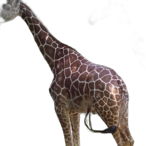 animal, staff, weapon, creature transparent PNG cut-out