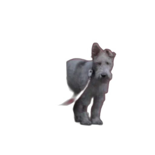 animal, creature, staff, dragon transparent PNG cut-out