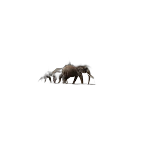 animal, creature, dragon, furniture transparent PNG cut-out