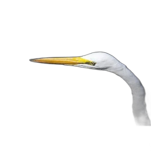 animal, staff, weapon, creature transparent PNG cut-out