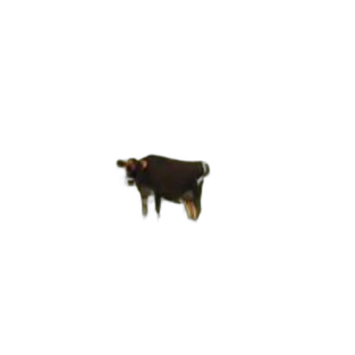 animal, creature, food, robot transparent PNG cut-out