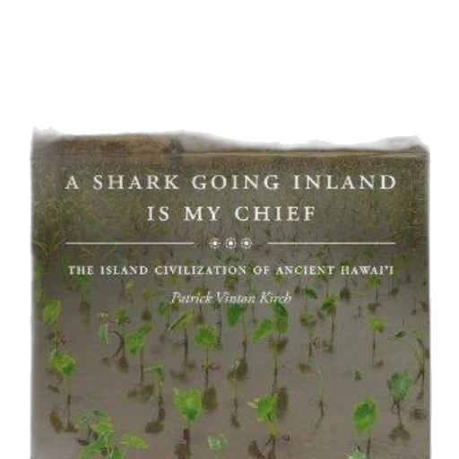 underwater, cover, shark, going transparent PNG cut-out