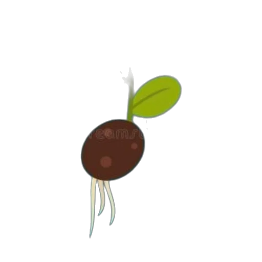 food, hair, staff, flower transparent PNG cut-out