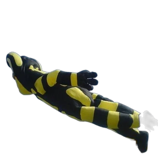 staff, weapon, shoes, animal transparent PNG cut-out
