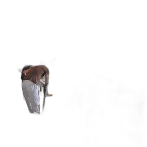 creature, animal, staff, weapon transparent PNG cut-out