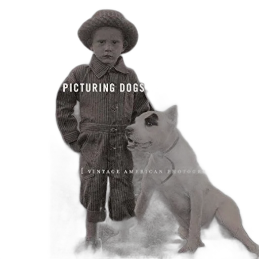 cover, picturing, dogs, seeing transparent PNG cut-out
