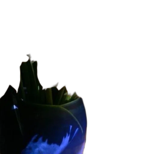 crown, bottle, weapon, flower transparent PNG cut-out