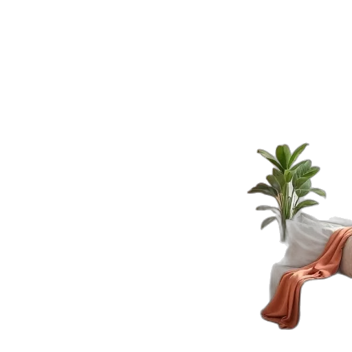 tree, furniture, shoes, 3d render transparent PNG cut-out