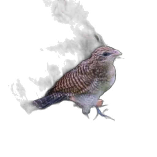 animal, staff, creature, dragon transparent PNG cut-out