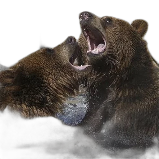 animal, creature, photorealistic, concept art transparent PNG cut-out
