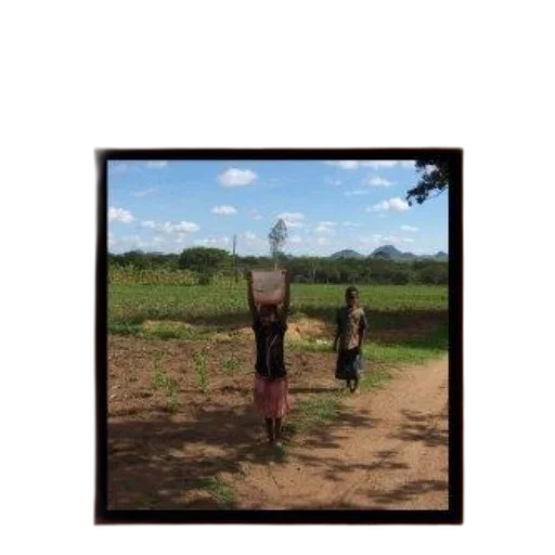 tree, dress, staff, umbrella transparent PNG cut-out