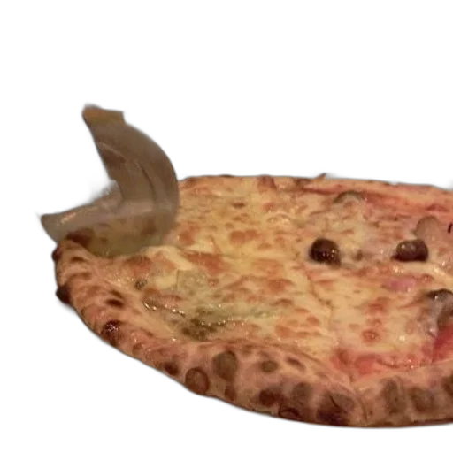 food, animal, creature, weapon transparent PNG cut-out