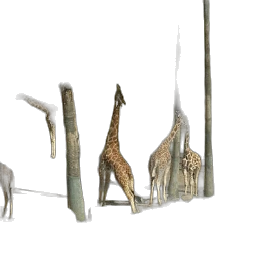 animal, staff, creature, weapon transparent PNG cut-out