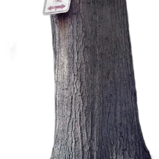 tree, staff, robot, face transparent PNG cut-out