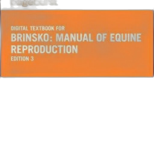 digital, textbook, brinsko, manual transparent PNG cut-out
