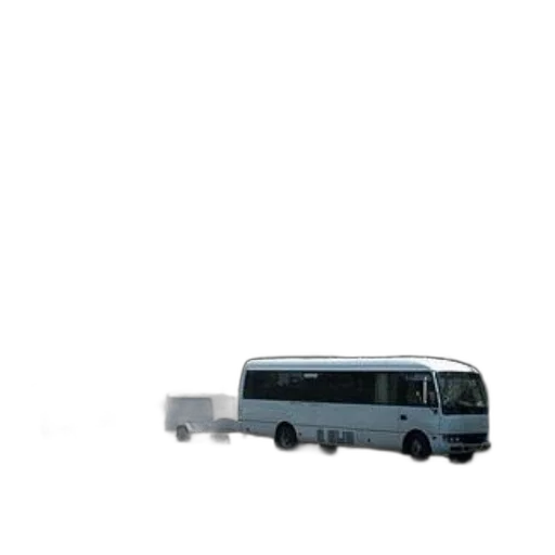 car, staff, animal, furniture transparent PNG cut-out
