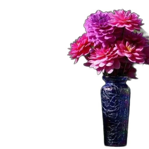 flower, bottle, crown, umbrella transparent PNG cut-out