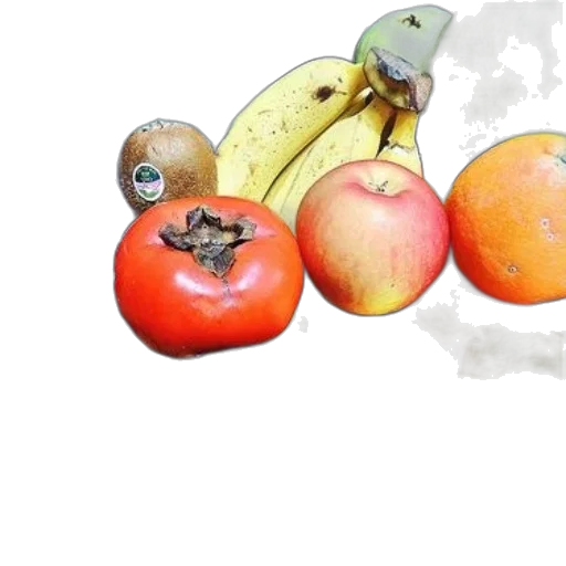 food, photorealistic, watercolor, vibrant transparent PNG cut-out