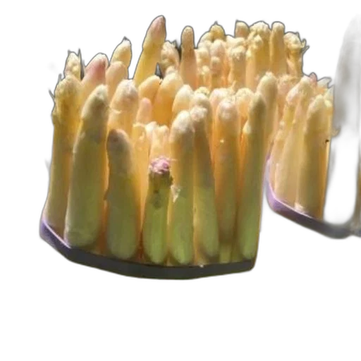 crown, food, hair, jewelry transparent PNG cut-out