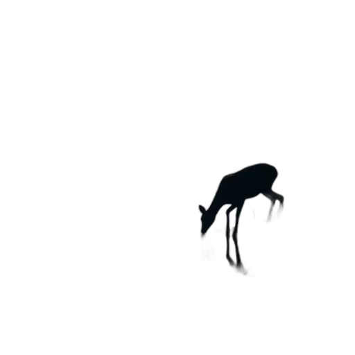 animal, creature, umbrella, dragon transparent PNG cut-out