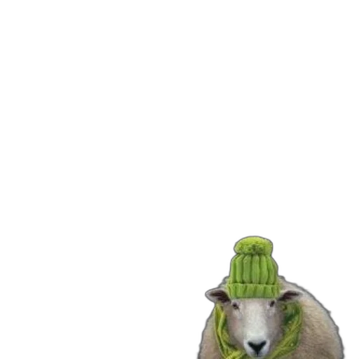 hat, animal, staff, creature transparent PNG cut-out