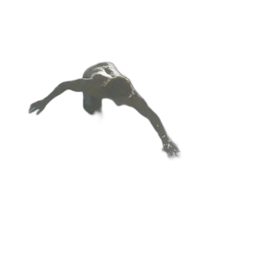 animal, creature, staff, robot transparent PNG cut-out