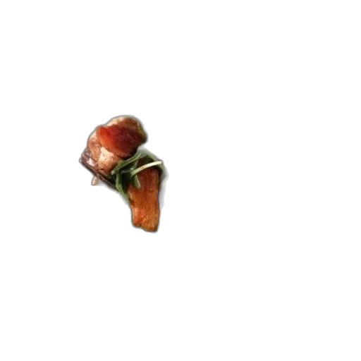 food, flower, staff, weapon transparent PNG cut-out