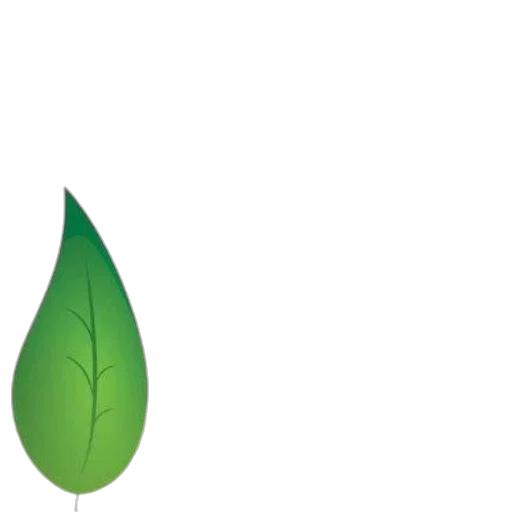 tree, umbrella, bottle, crown transparent PNG cut-out
