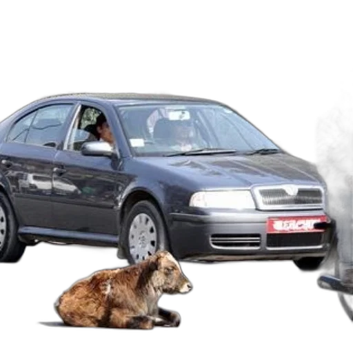 car, animal, weapon, photorealistic transparent PNG cut-out