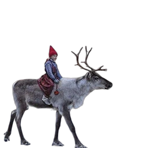animal, hat, creature, concept art transparent PNG cut-out