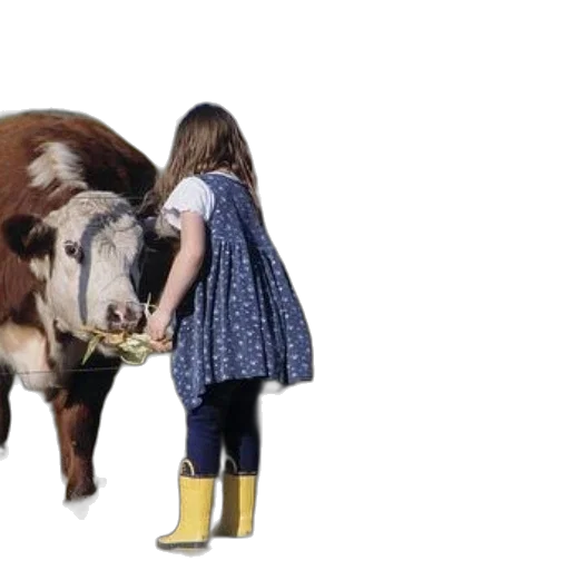 animal, dress, creature, girl transparent PNG cut-out