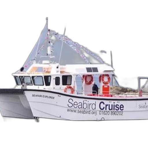3d render, seabird, cruise, boat transparent PNG cut-out