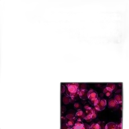 flower, jewelry, dress, crown transparent PNG cut-out