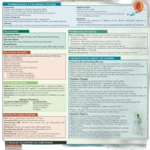 colorful, infographic, titled, pharmacology transparent PNG cut-out