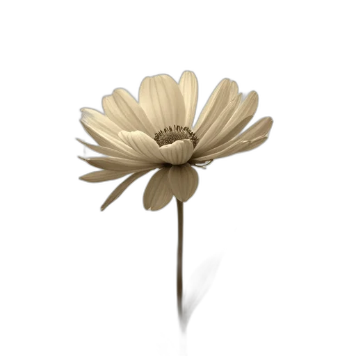 flower, crown, jewelry, staff transparent PNG cut-out