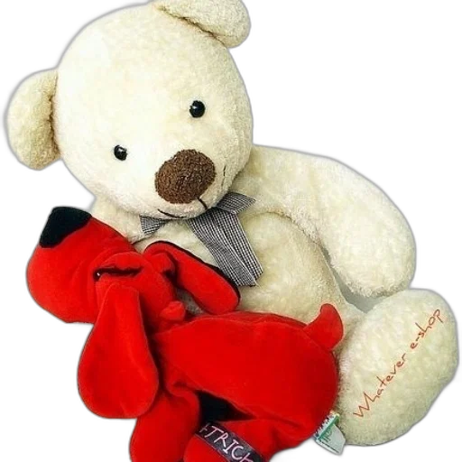 white, teddy, bear, red transparent PNG cut-out