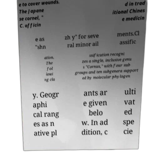 bottle, text-based, image, discussing transparent PNG cut-out