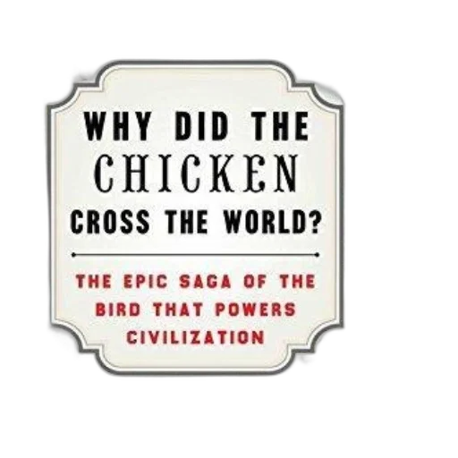 cover, why, did, chicken transparent PNG cut-out