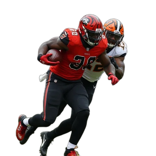 animal, baltimore, running, back transparent PNG cut-out