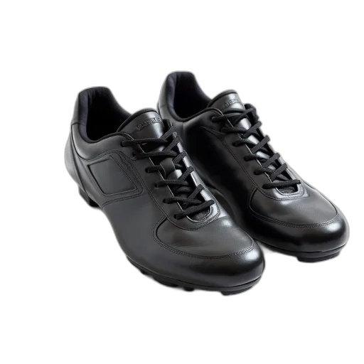 shoes, pair, black, silver transparent PNG cut-out