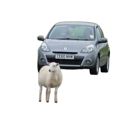 car, animal, creature, 3d render transparent PNG cut-out